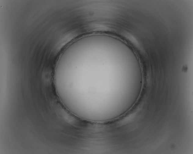 X0000093090873200710101515