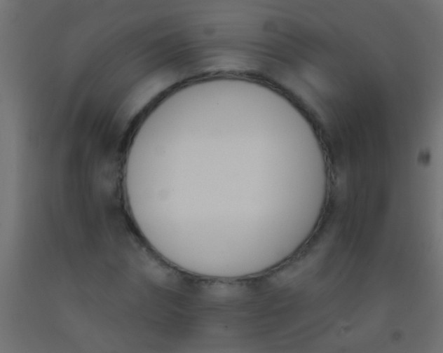 X0000093090874200710101515