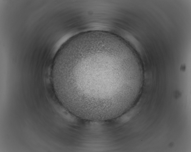 X0000093090875200710101515