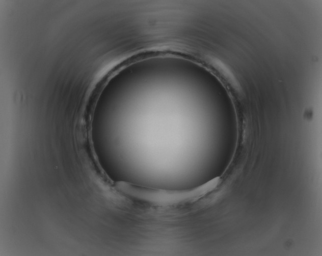 X0000093090876200710101515