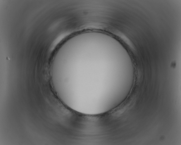 X0000093090878200710101515