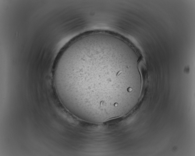 X0000093090879200710101515