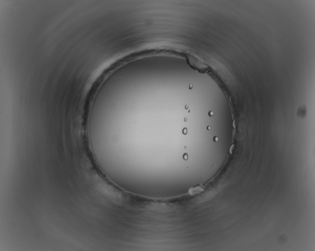 X0000093090880200710101515