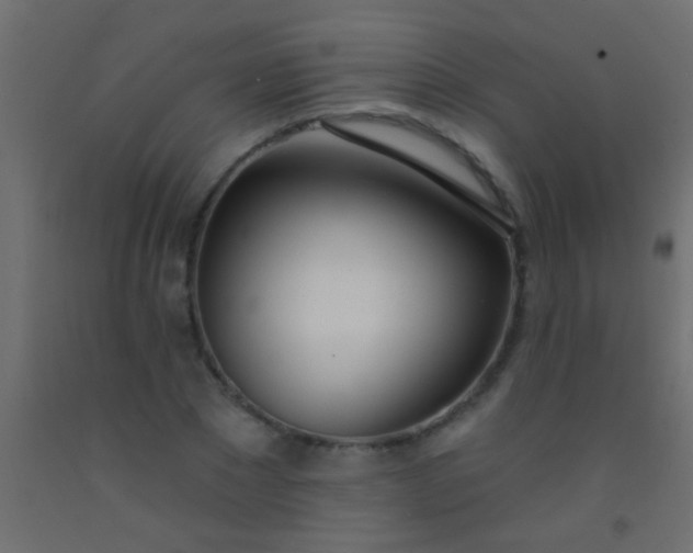 X0000093090881200710101515