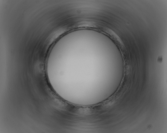 X0000093090882200710101515