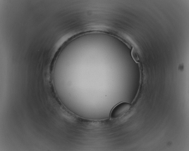 X0000093090883200710101515