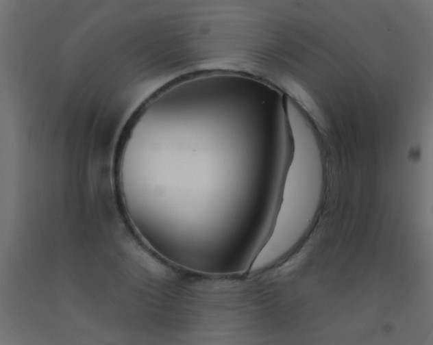 X0000093090884200710101515