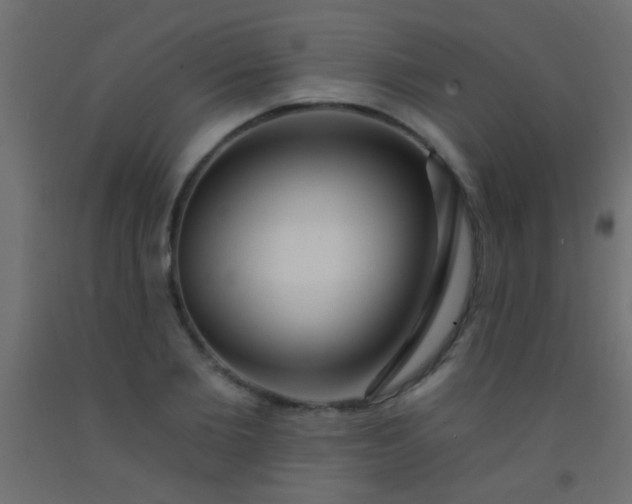 X0000093090885200710101515