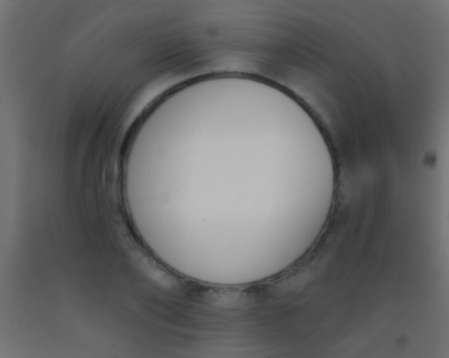 X0000093090886200710101515