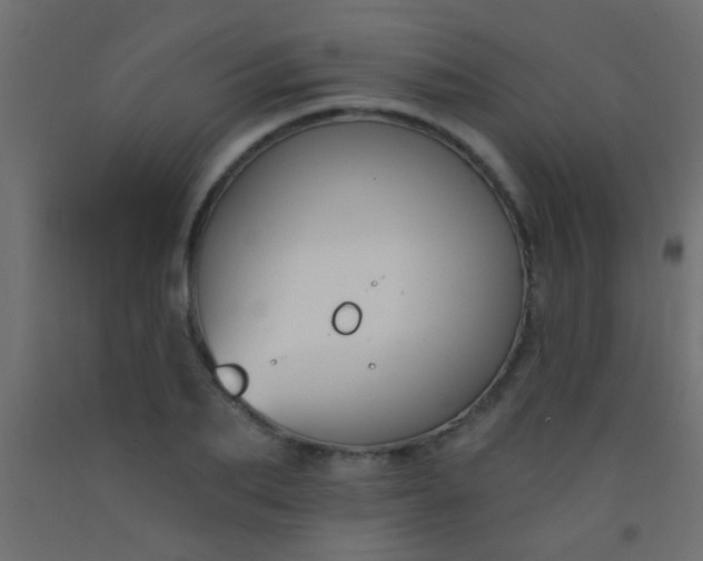 X0000093090887200710101515