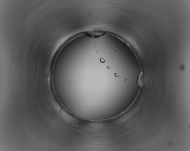 X0000093090888200710101515