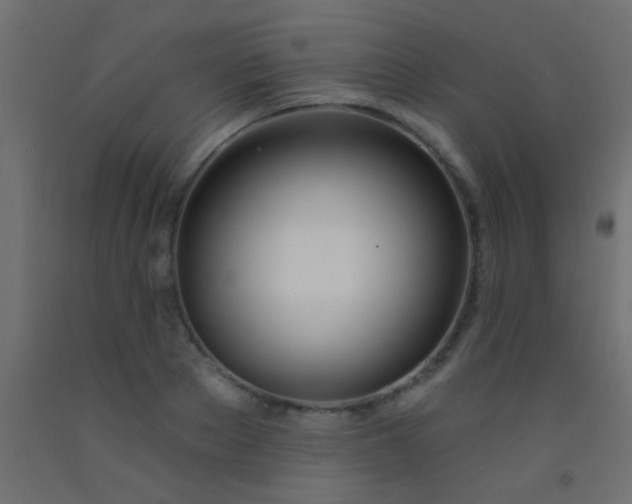 X0000093090889200710101515