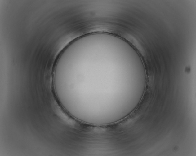 X0000093090890200710101515