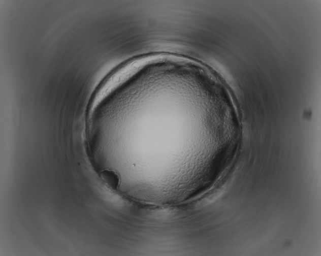 X0000093090891200710101515