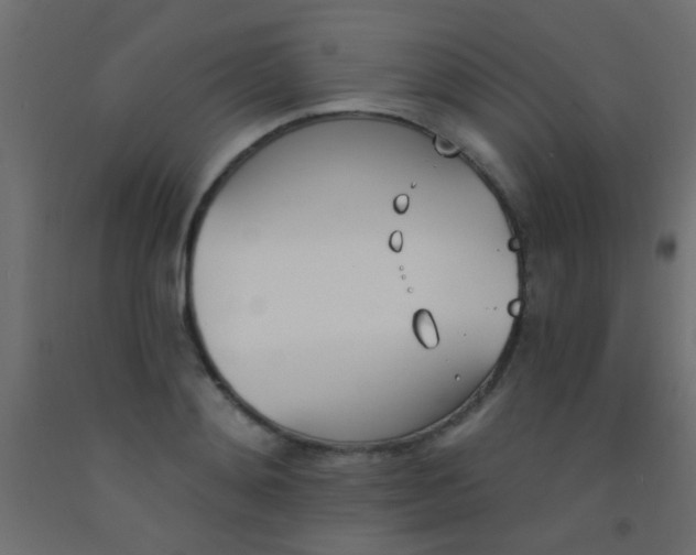 X0000093090892200710101515