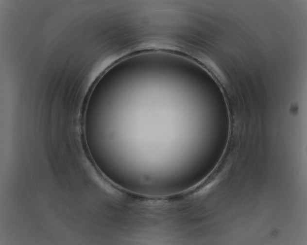 X0000093090893200710101515