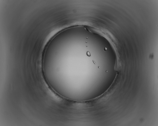 X0000093090894200710101515