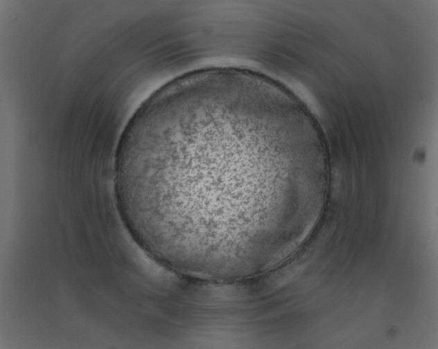 X0000093090895200710101515