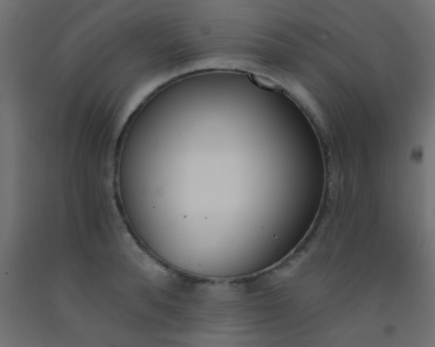 X0000093090896200710101515