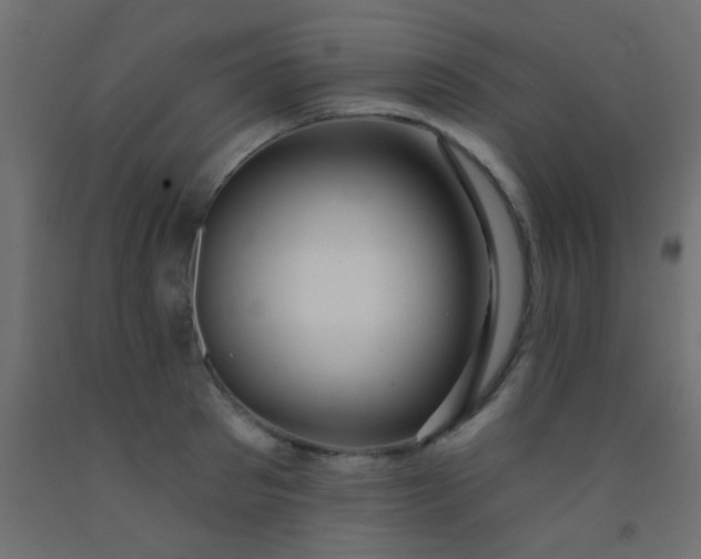 X0000093090897200710101515