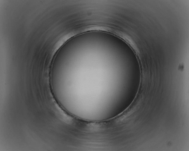 X0000093090898200710101515