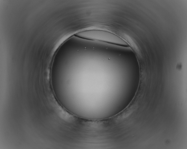 X0000093090900200710101515