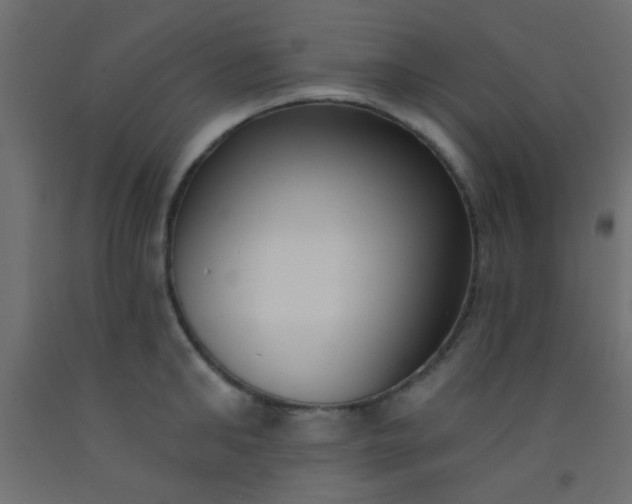 X0000093090902200710101515