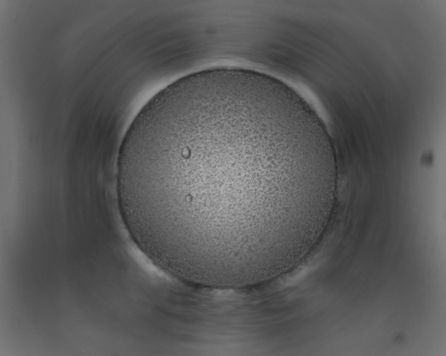 X0000093090903200710101515