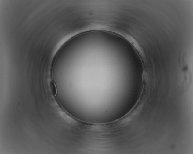 X0000093090904200710101515