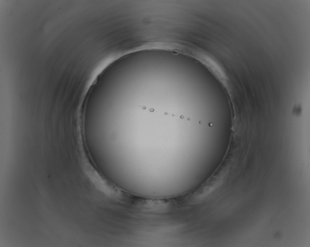 X0000093090907200710101515