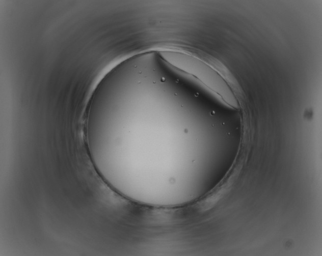 X0000093090908200710101515