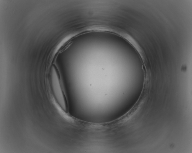 X0000093090909200710101515