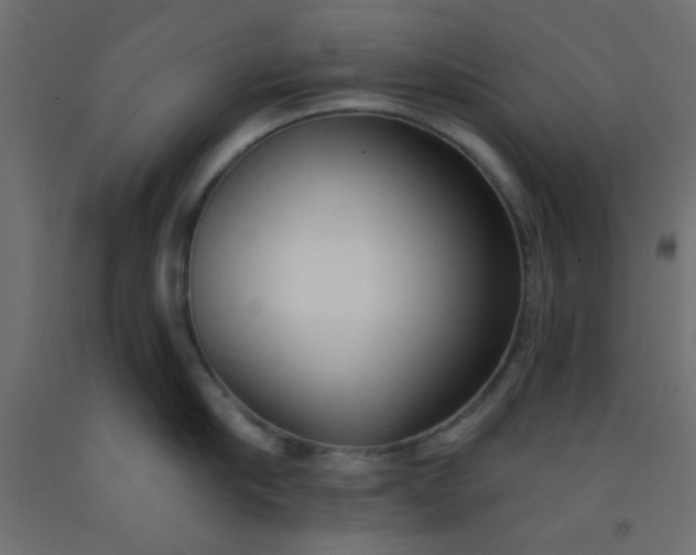 X0000093090910200710101515