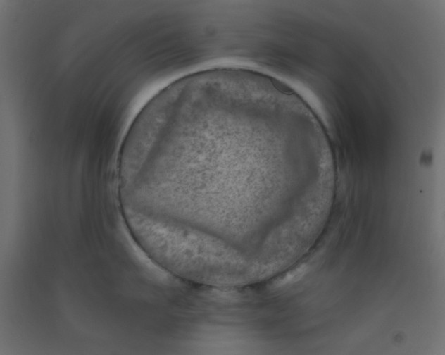 X0000093090911200710101515