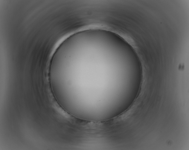 X0000093090912200710101515