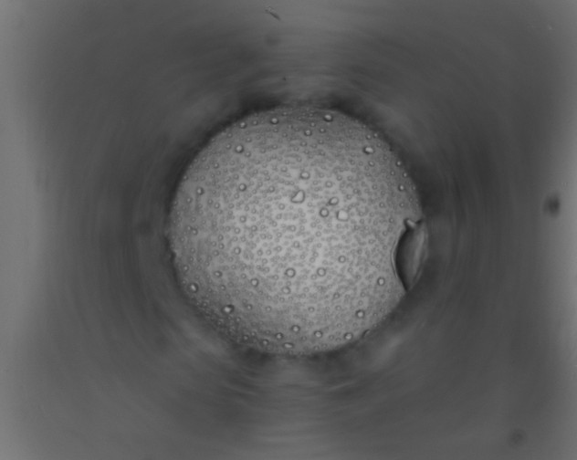 X0000093090913200710101514