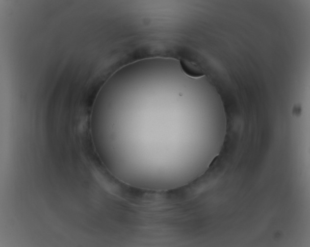 X0000093090914200710101514