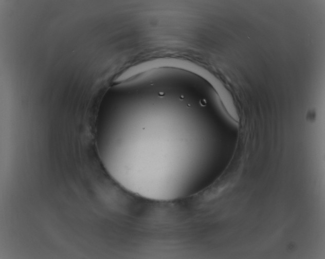 X0000093090916200710101514