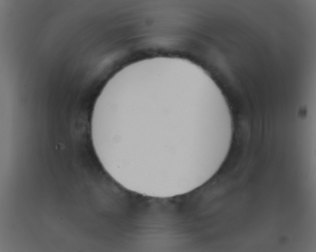 X0000093090918200710101514