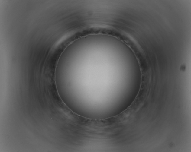 X0000093090919200710101514