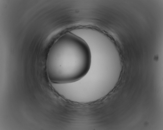 X0000093090920200710101514