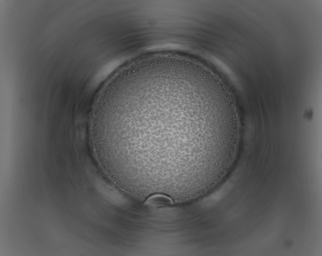 X0000093090921200710101514