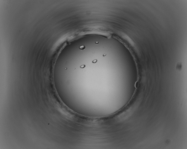 X0000093090922200710101514