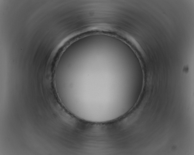 X0000093090923200710101514