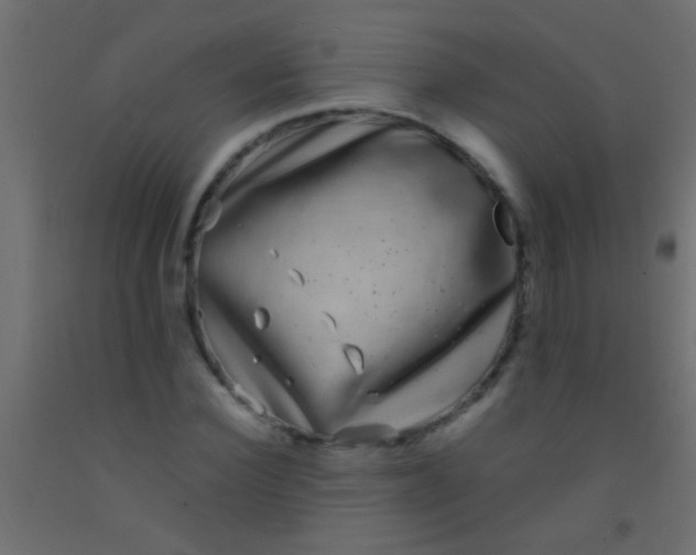 X0000093090924200710101514