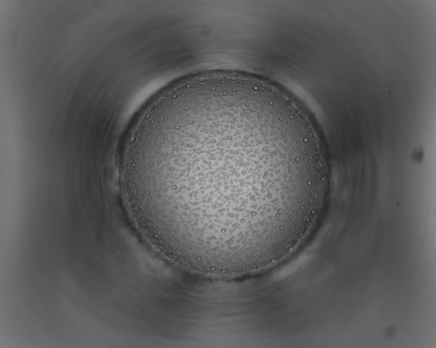 X0000093090925200710101514