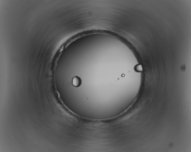 X0000093090926200710101514