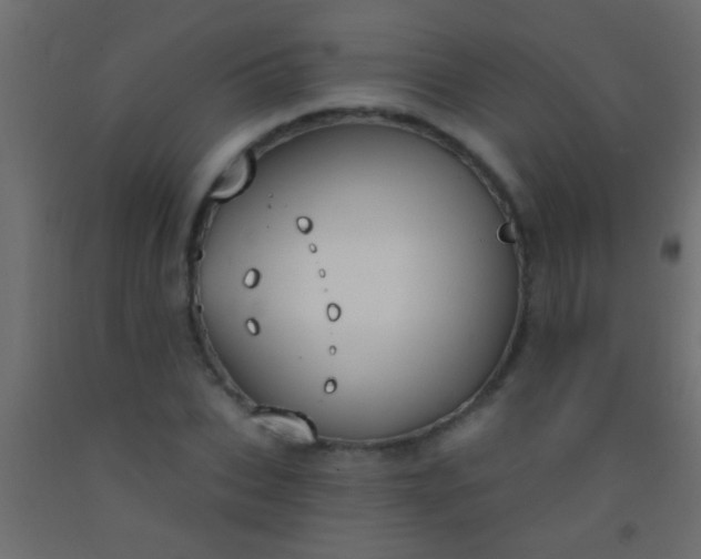 X0000093090927200710101514