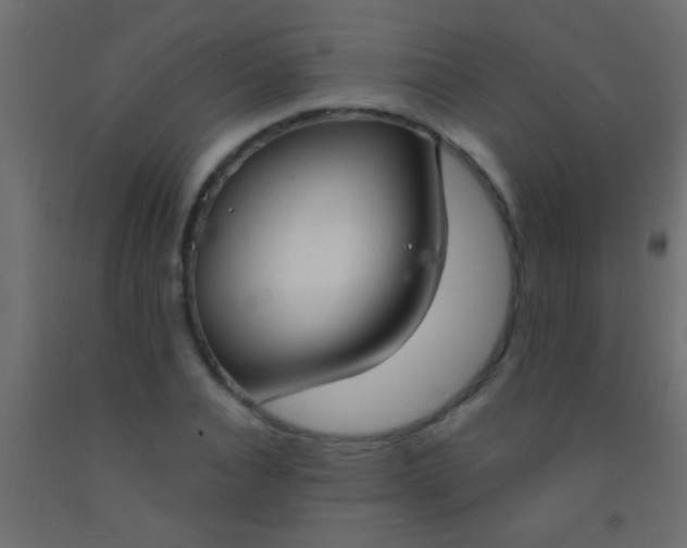 X0000093090928200710101514