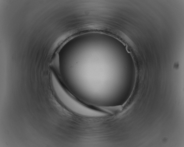 X0000093090930200710101514